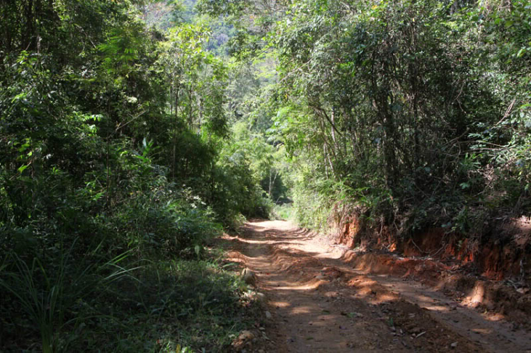 Hành trình đầu năm Nhâm Thìn 2012 với cung đường "nhạt" từ Phan Thiết lên Di Linh