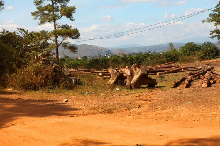 Hành trình đầu năm Nhâm Thìn 2012 với cung đường "nhạt" từ Phan Thiết lên Di Linh Hành trình đầu năm Nhâm Thìn 2012 với cung đường "nhạt" từ Phan Thiết lên Di Linh
