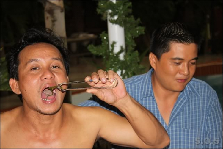 Hình ảnh họp mặt tân niên tại Hoàng Thái Bảo Hình ảnh họp mặt tân niên tại Hoàng Thái Bảo