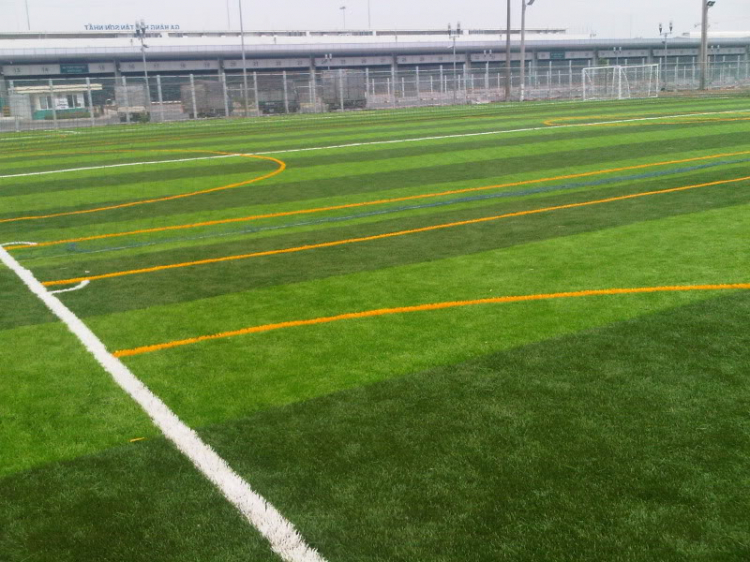 Sân bóng cỏ nhân tạo SCSC, người quen em muốn ủng hộ đội bóng FFC