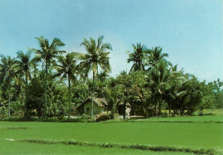 Miệt vườn