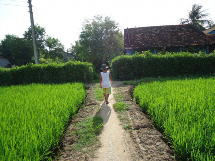 Miệt vườn