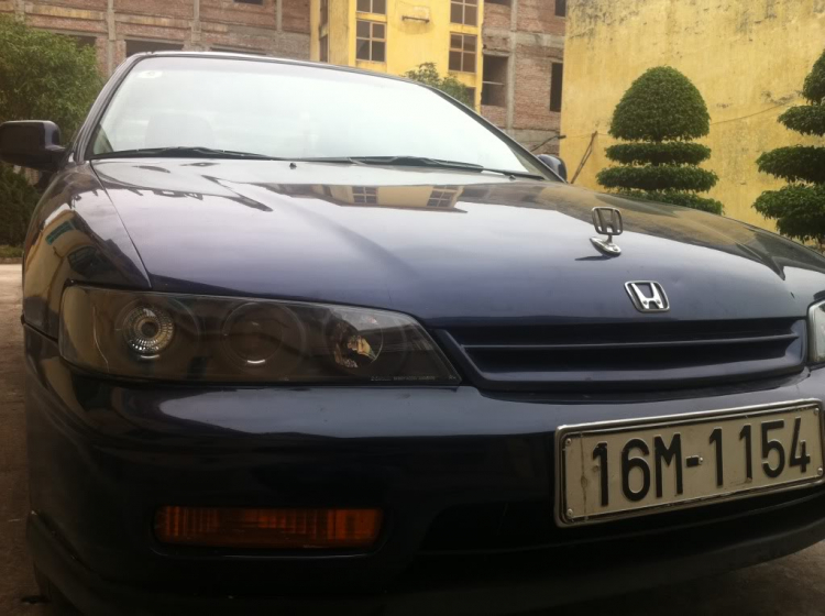 ACCORD CLUB - Honda Accord 95 LX