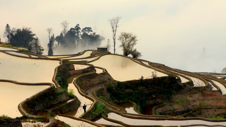 Ruộng lạ. Ruộng lạ.