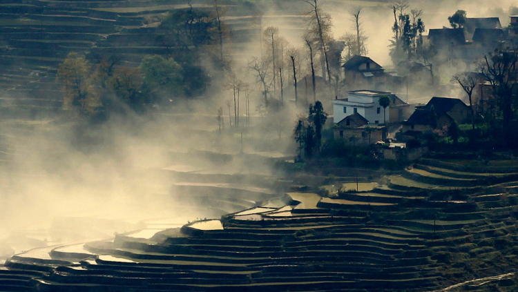 Ruộng lạ.