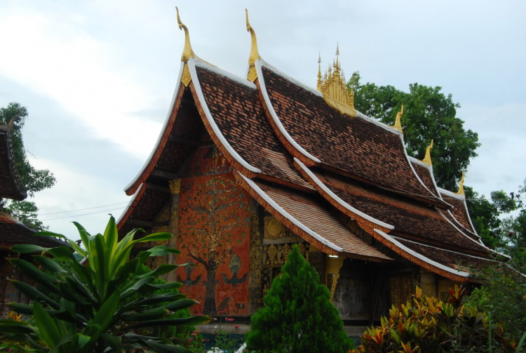 10 Ngày ở Viengtiane, LuangPrabang, Cánh Đồng Chum và những cung đường thượng Lào