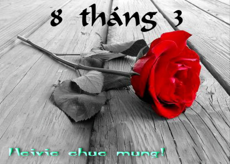 Chúc mừng các mợ ngày 8/3 Chúc mừng các mợ ngày 8/3