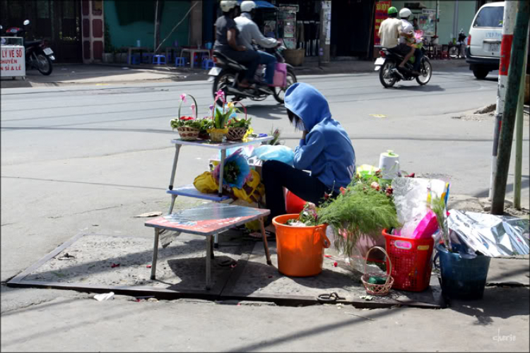 Hoa cho ngày 8/3!