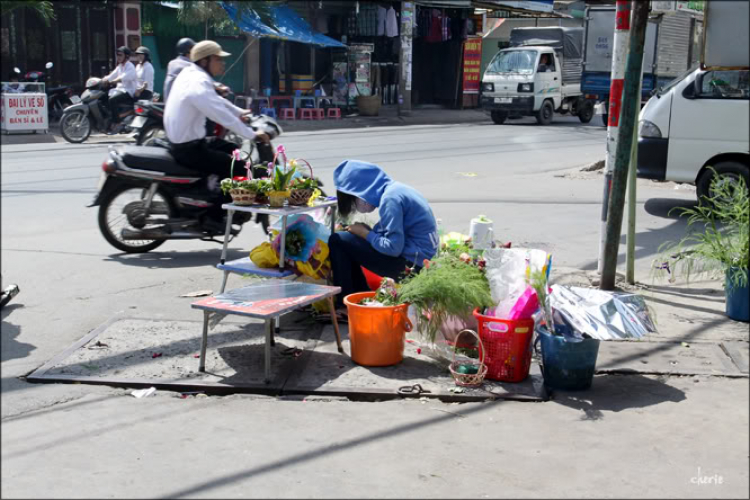 Hoa cho ngày 8/3!