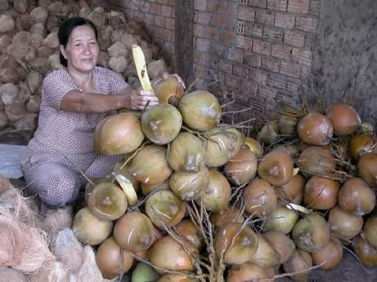 FFC ĐI TUYỂN CẦU THỦ TẠI BẾN TRE NGÀY 10/3