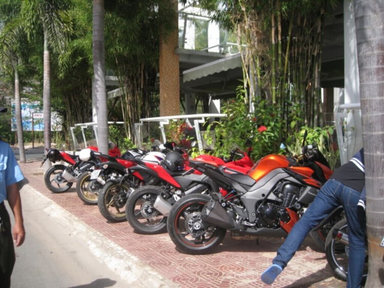 NGOINHAXANH và NHỮNG NGƯỜI BẠN NGOINHAXANH và NHỮNG NGƯỜI BẠN