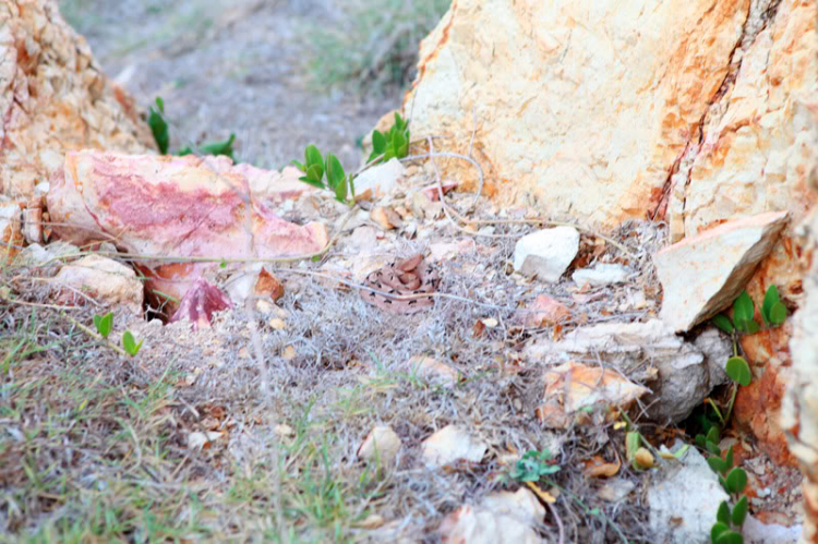 Hành trình đến đỉnh "Mũi Gió" và khám phá Hang Dơi - Mũi Né Hành trình đến đỉnh "Mũi Gió" và khám phá Hang Dơi - Mũi Né