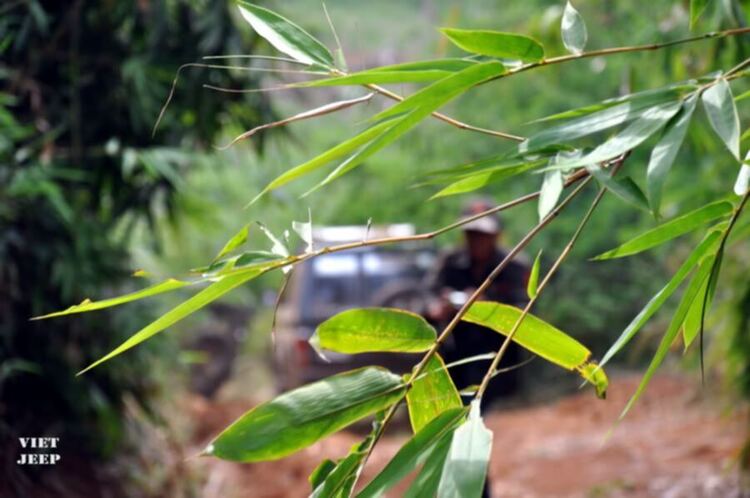 Trở lại Dak Nong 10 03 2012