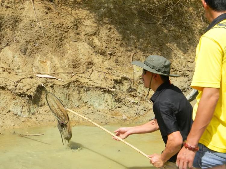 NGÂỦ HỨNG OFFROAD= 2 CHƯN