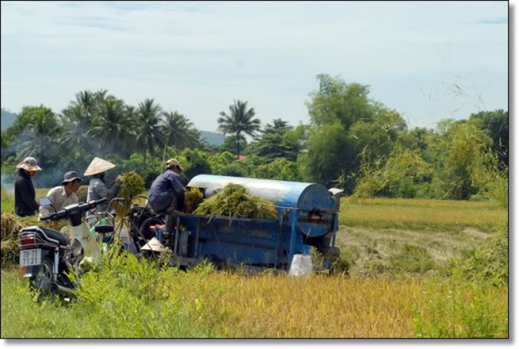 Những già gân trên đường thiên lý