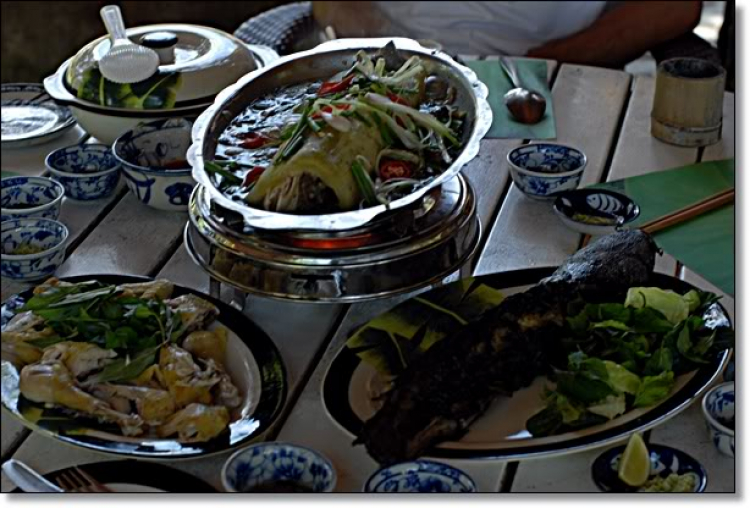 Những già gân trên đường thiên lý Những già gân trên đường thiên lý