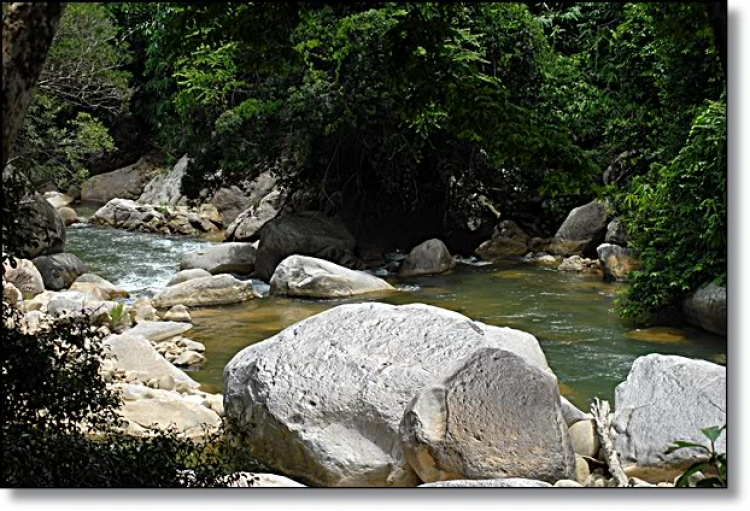 Những già gân trên đường thiên lý Những già gân trên đường thiên lý