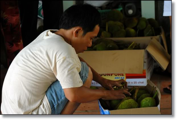 Những già gân trên đường thiên lý Những già gân trên đường thiên lý
