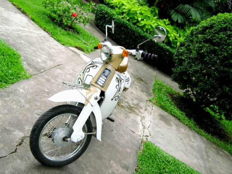 cần mua xe máy cũ