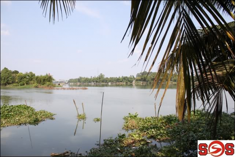 Hình ảnh nhóm S.O.S đến chung vui và chúc mừng bí số 98 Hình ảnh nhóm S.O.S đến chung vui và chúc mừng bí số 98