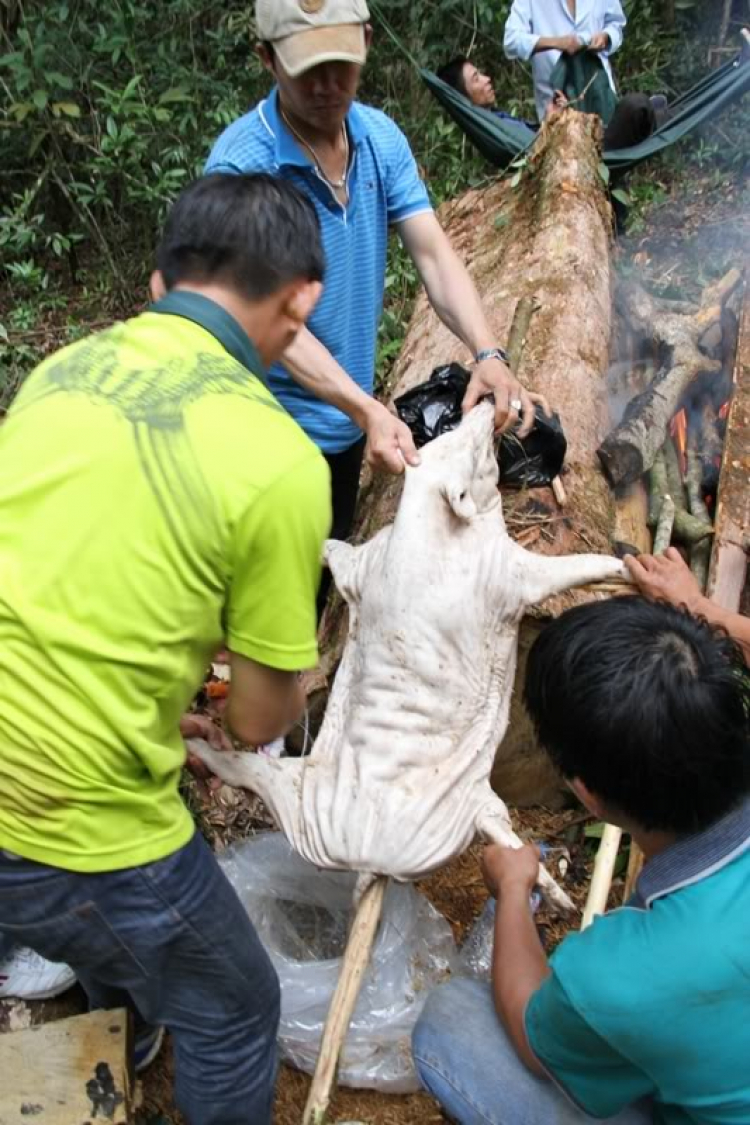 CHINH PHỤC ĐỈNH NÚI Bra-Yang/DI LINH