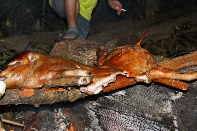 CHINH PHỤC ĐỈNH NÚI Bra-Yang/DI LINH