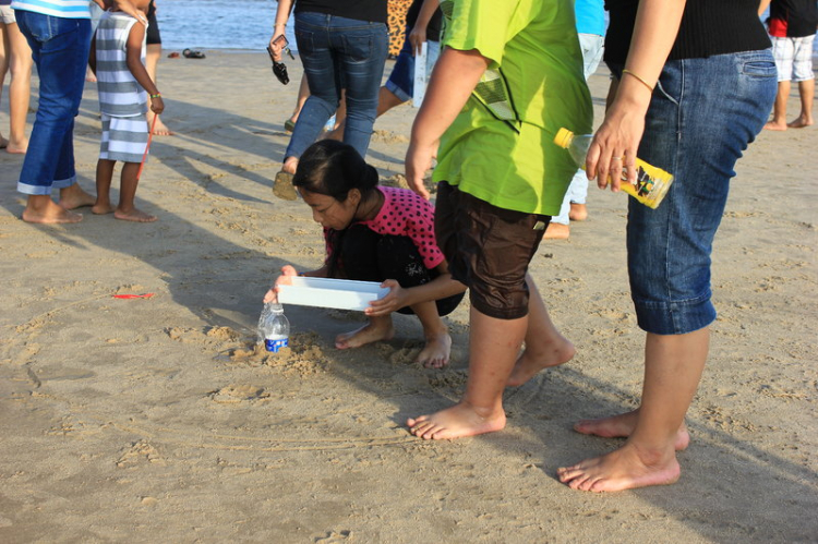 Cập nhật hình ảnh Hodota - Tạm biệt hè 2014 Cập nhật hình ảnh Hodota - Tạm biệt hè 2014