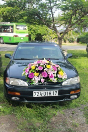 Anh em Camry 87-91 vô đây chơi