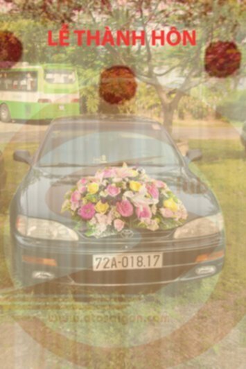 Anh em Camry 87-91 vô đây chơi