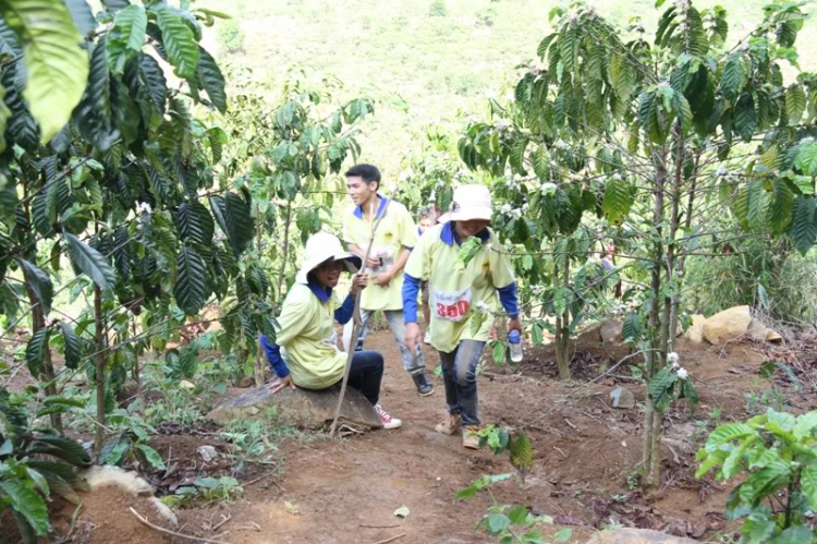 CHINH PHỤC ĐỈNH NÚI Bra-Yang/DI LINH