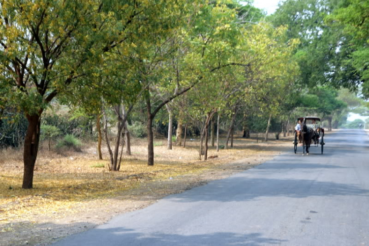 Chớp nhoáng Myanmar