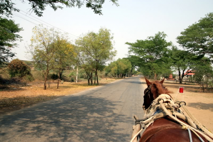 Chớp nhoáng Myanmar