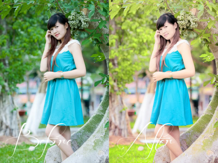 Mẫu gom góp cuối tuần