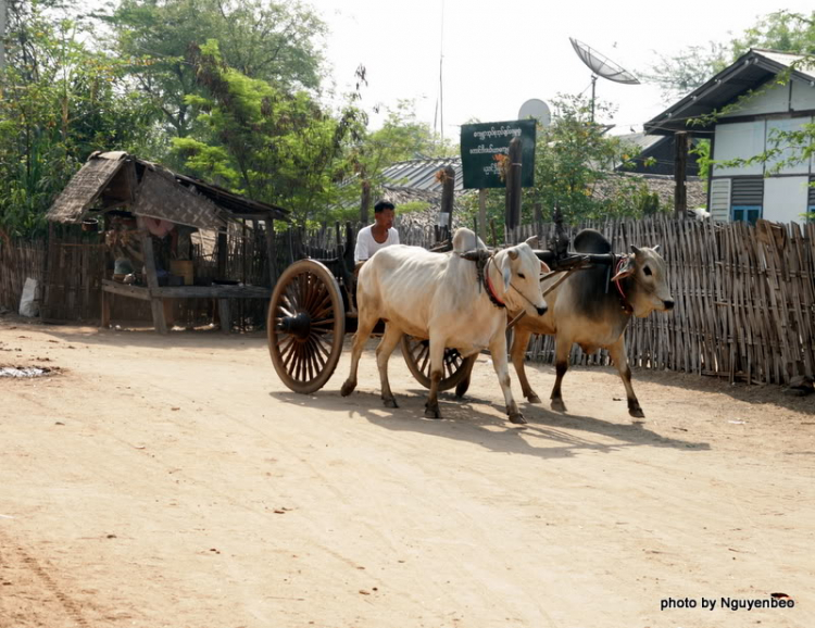 Chớp nhoáng Myanmar