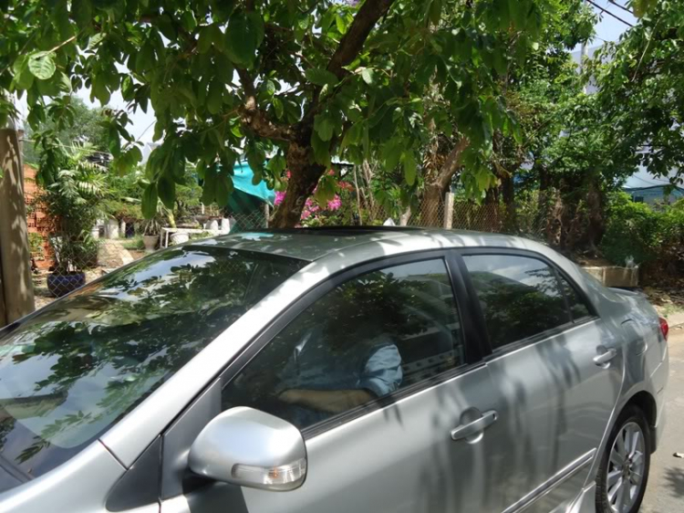 1 em Cruze LS - thêm option Sunroof trượt âm (models TVS800) - Trang 11