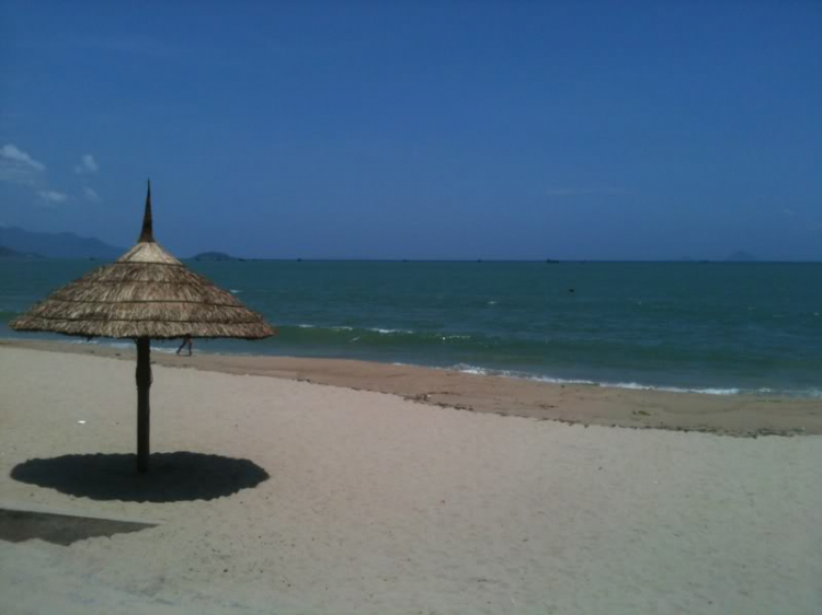 Bản tin XNL – Nha Trang