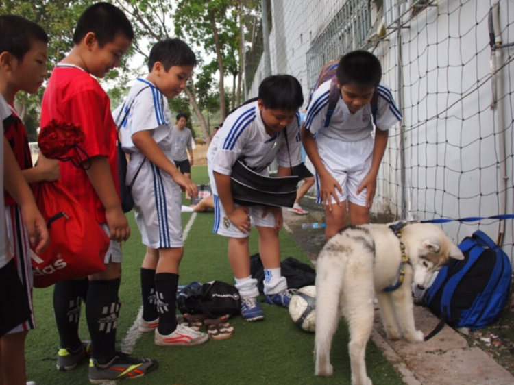 Hình ảnh các trận giao hữu của MAFC's Futsal Team.