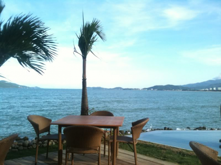 Bản tin XNL – Nha Trang