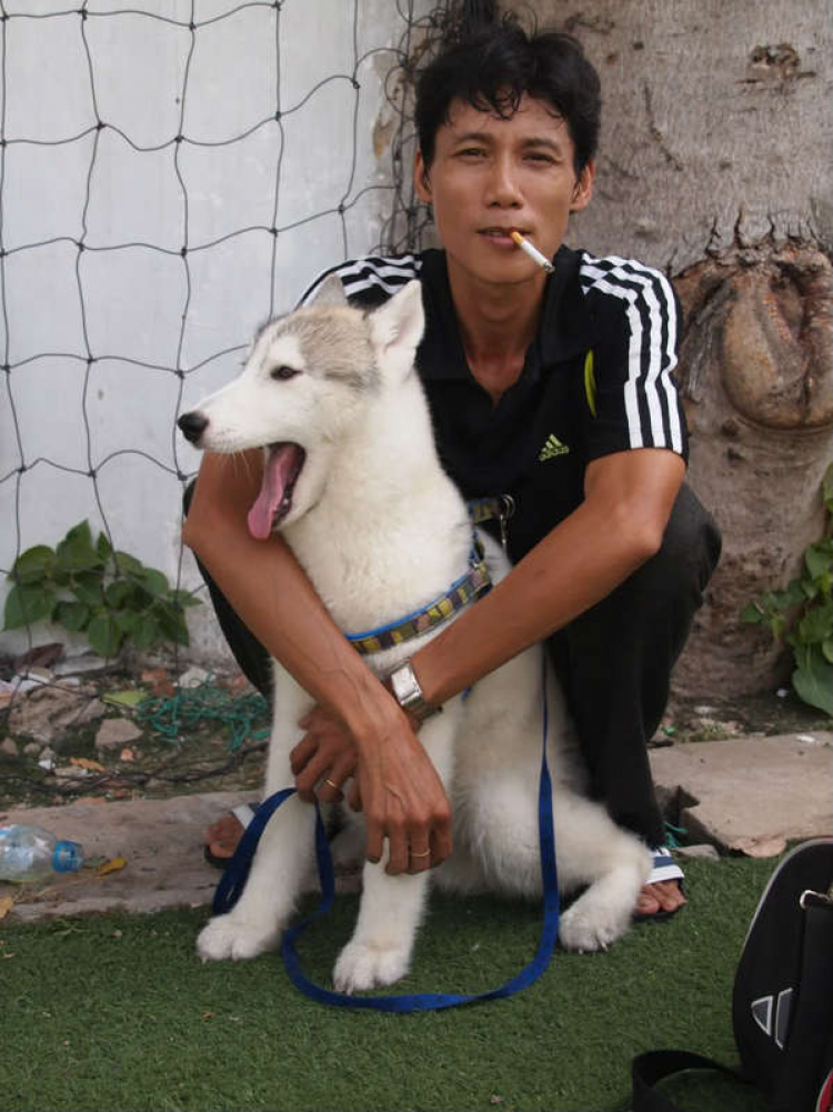 Hình ảnh các trận giao hữu của MAFC's Futsal Team.