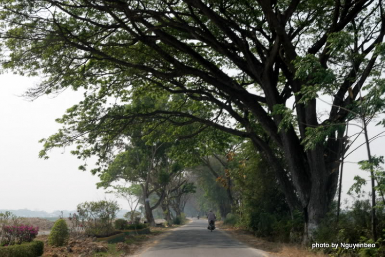 Chớp nhoáng Myanmar