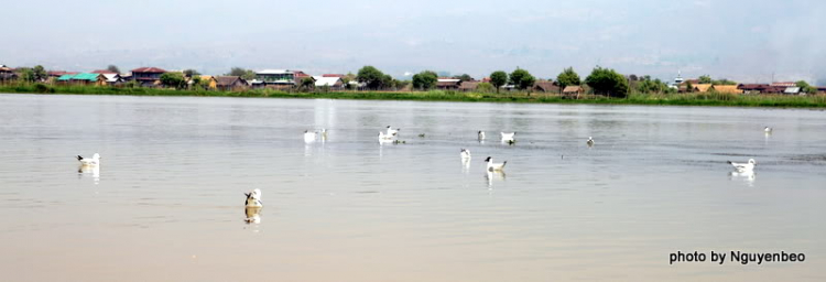 Chớp nhoáng Myanmar Chớp nhoáng Myanmar