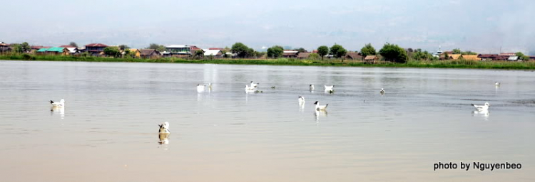 Chớp nhoáng Myanmar