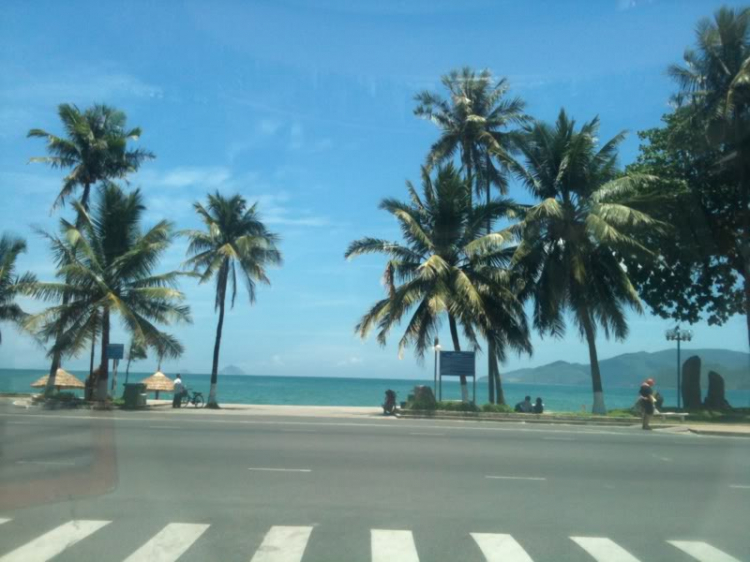 Bản tin XNL – Nha Trang