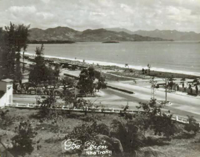 Bản tin XNL – Nha Trang