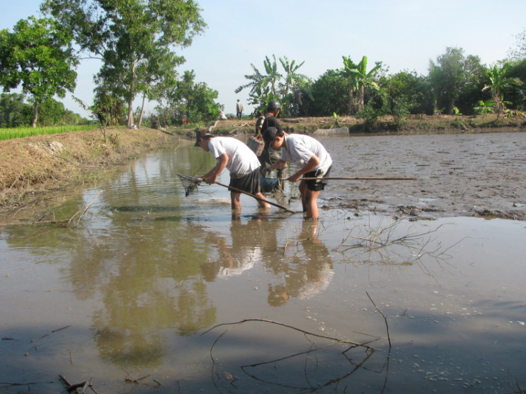 Gấp gấp: Tour Lagi 30/4