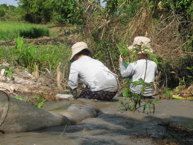 Gấp gấp: Tour Lagi 30/4