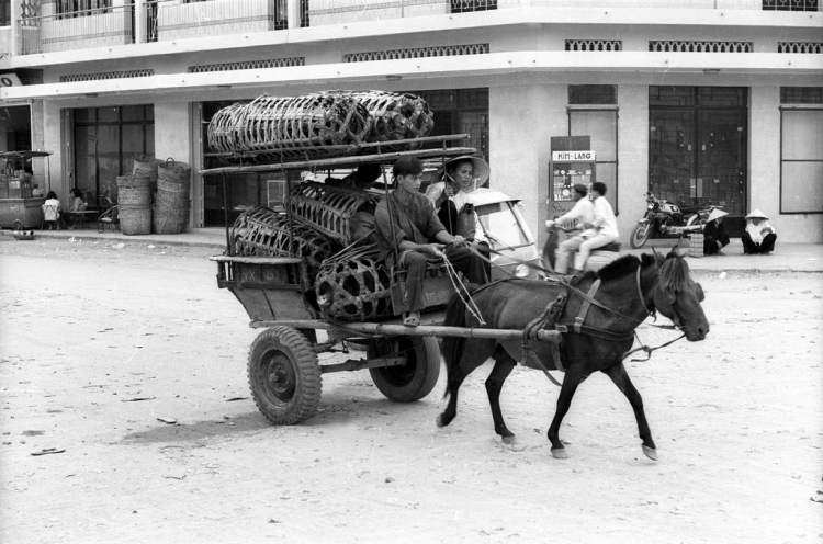 Bản tin XNL – Nha Trang