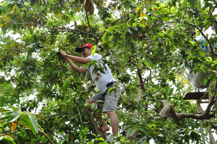 Off Quý II-2012_ Chinh phục Lagi, biển xanh & nắng vàng! ( Hình ảnh từ trang 40 )