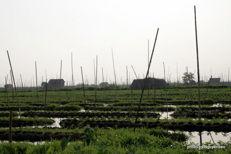 Chớp nhoáng Myanmar