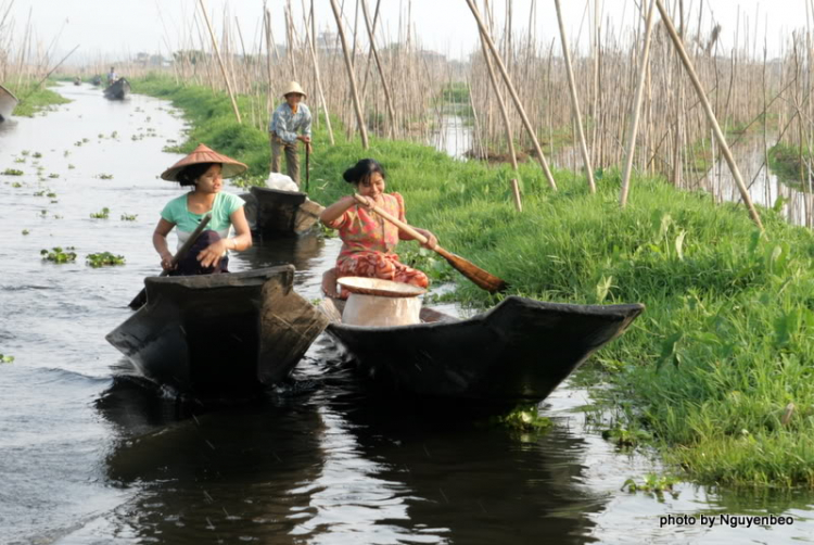 Chớp nhoáng Myanmar